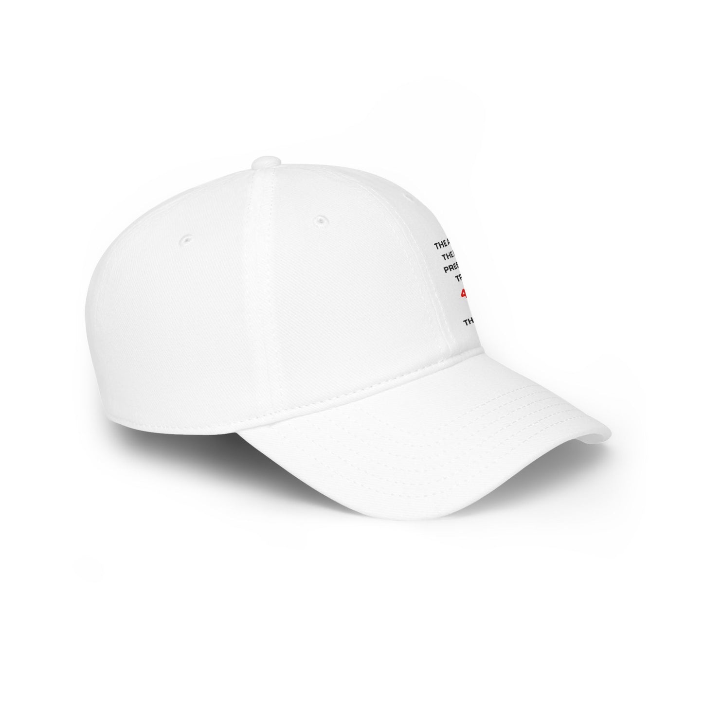 Trump Third Term Low Profile Baseball Cap - The Art of the Deal Hat