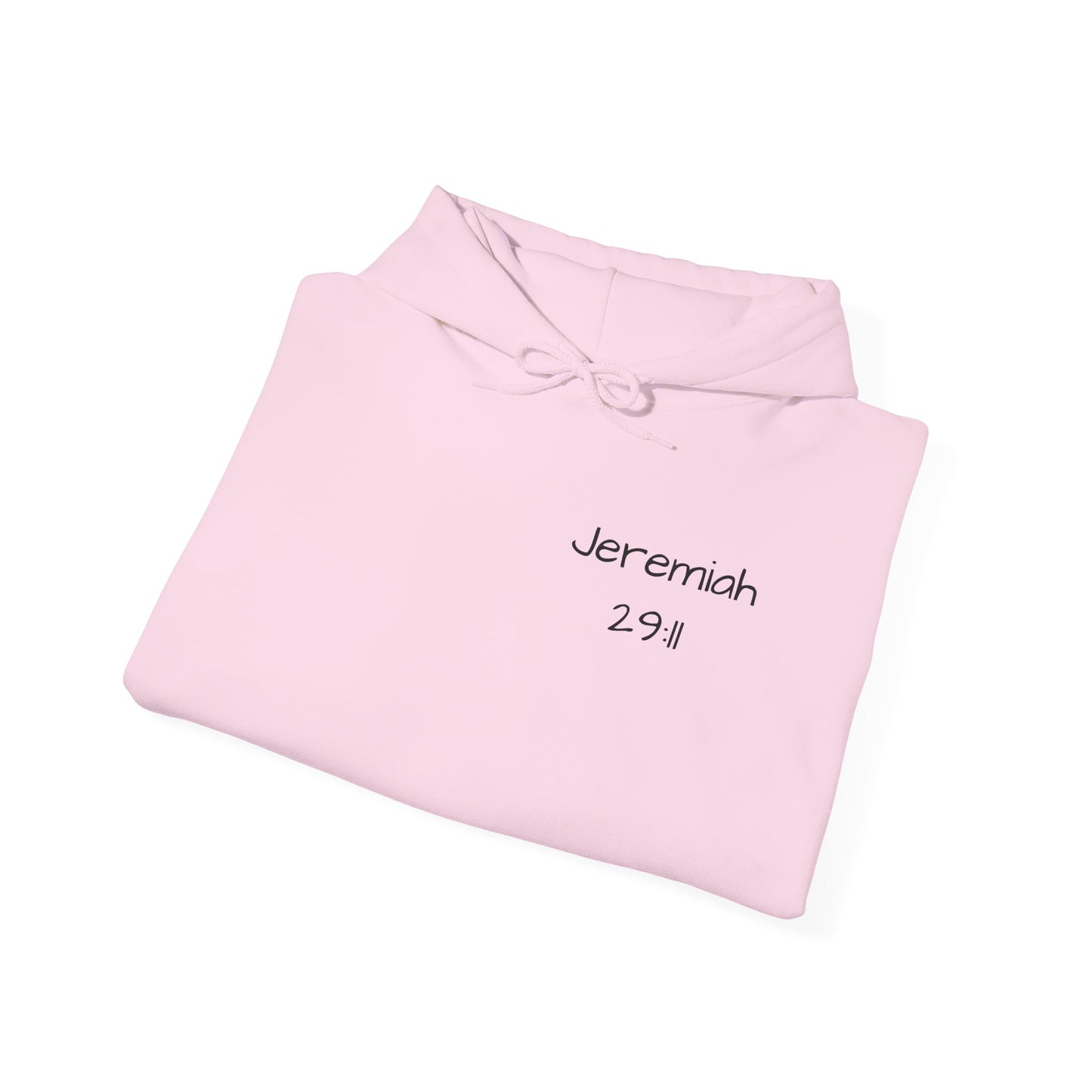 Jeremiah 29:11 Unisex Hoodie - God has a Plan