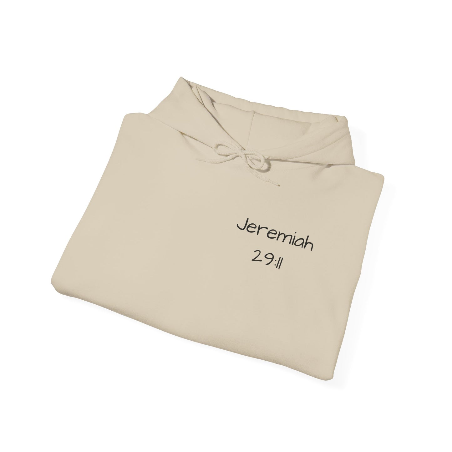 Jeremiah 29:11 Unisex Hoodie - God has a Plan