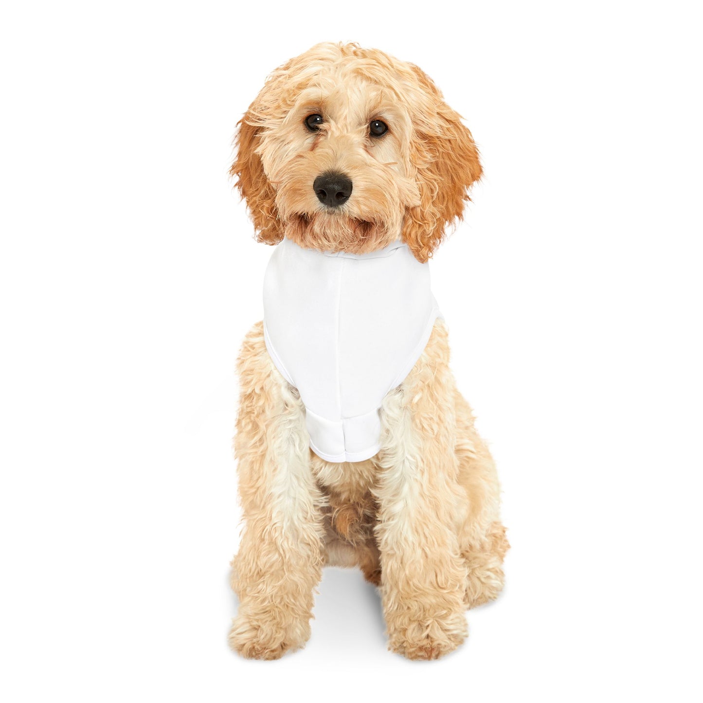 Pet Hoodie "HOT DOG"