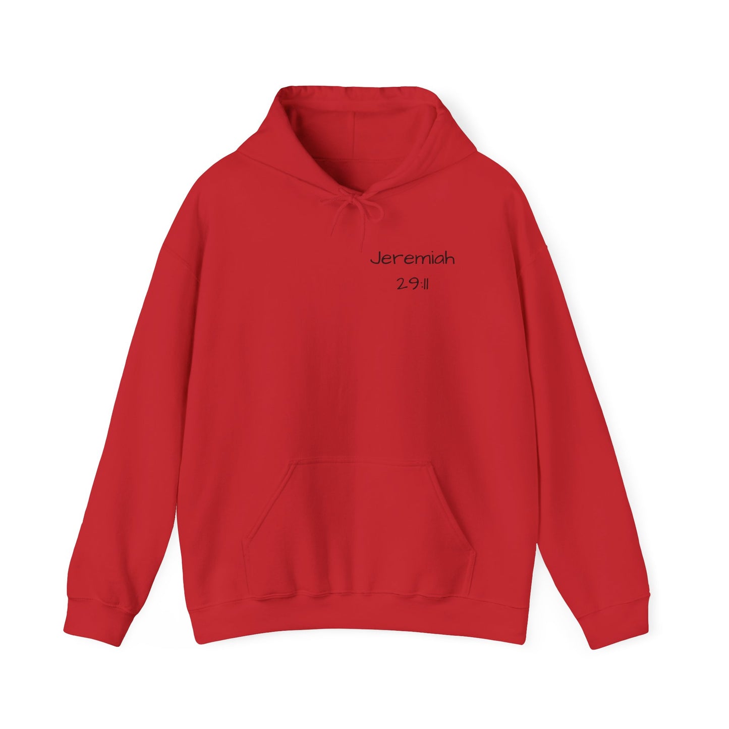 Jeremiah 29:11 Unisex Hoodie - God has a Plan