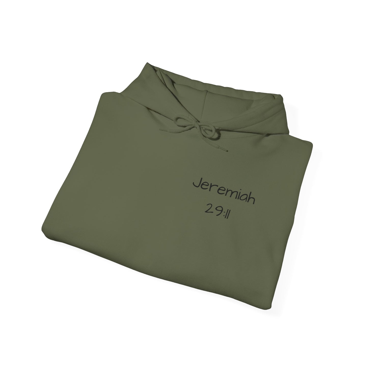 Jeremiah 29:11 Unisex Hoodie - God has a Plan