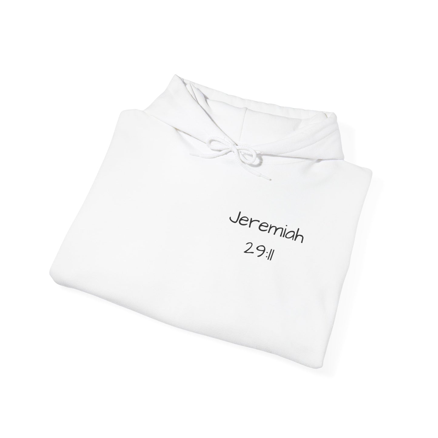 Jeremiah 29:11 Unisex Hoodie - God has a Plan