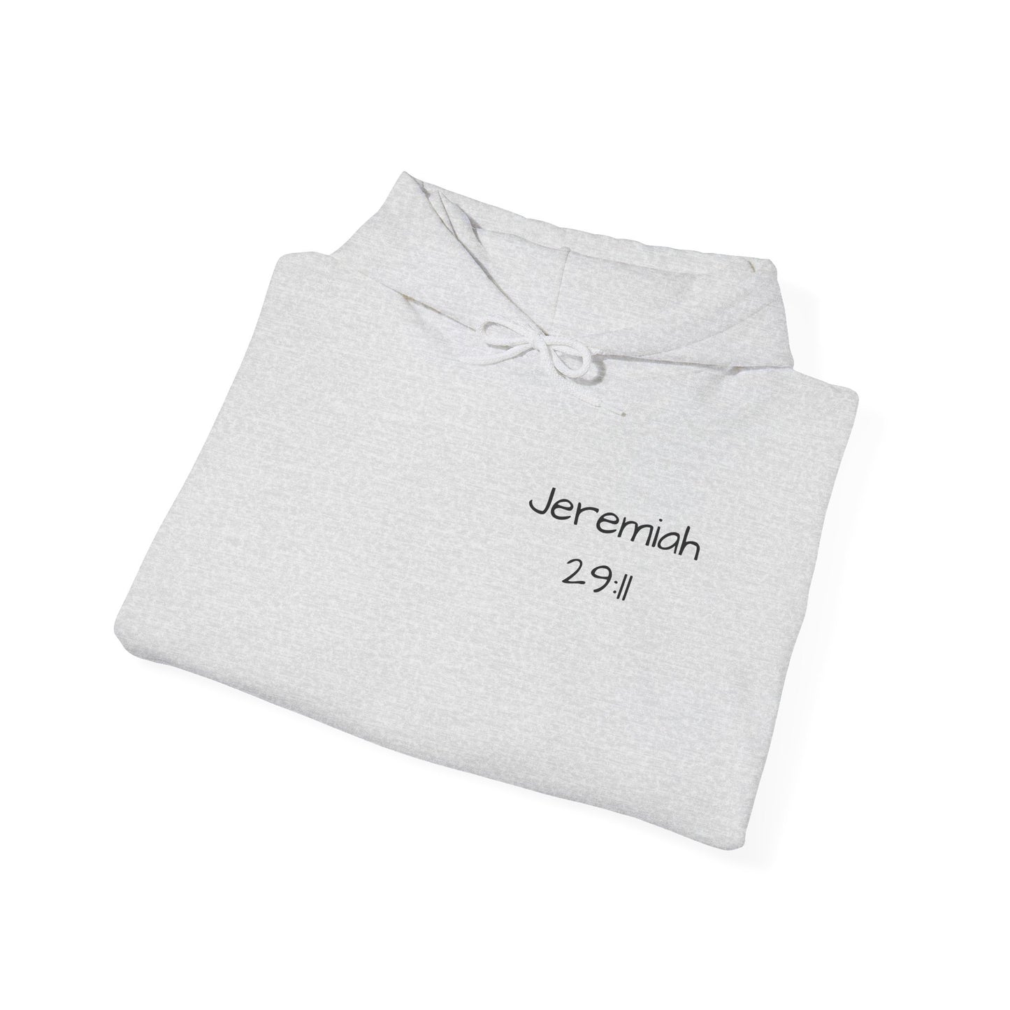 Jeremiah 29:11 Unisex Hoodie - God has a Plan