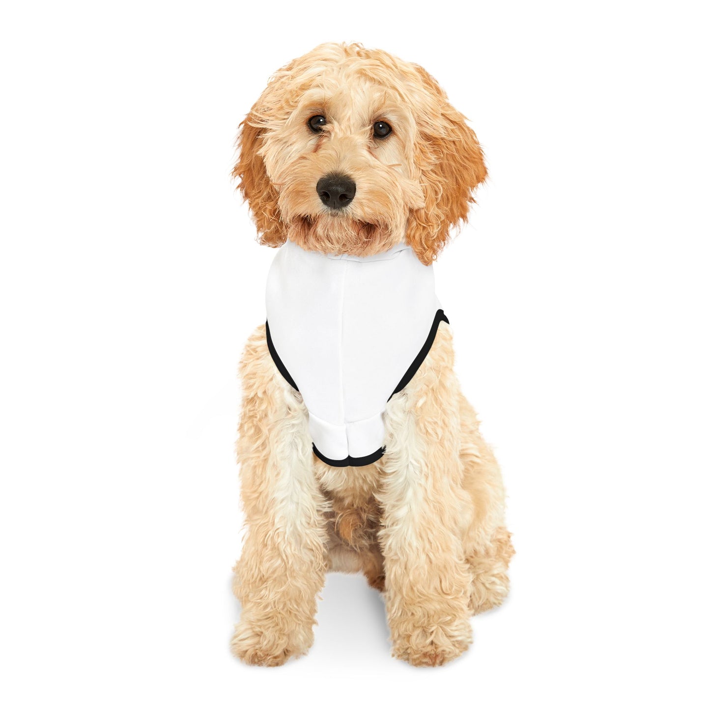 Pet Hoodie "HOT DOG"